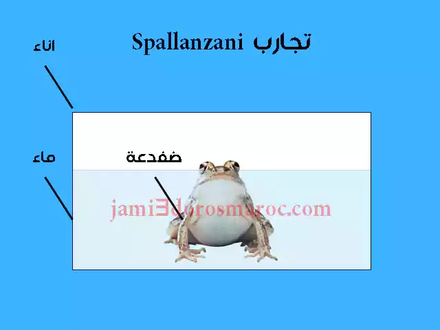 ملخص درس التوالد عند الحيوانات للسنة الثانية إعدادي + pdf