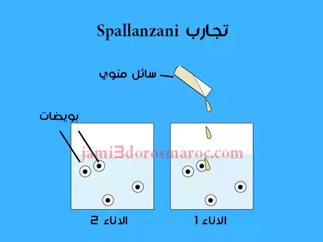 ملخص درس التوالد عند الحيوانات للسنة الثانية إعدادي + pdf