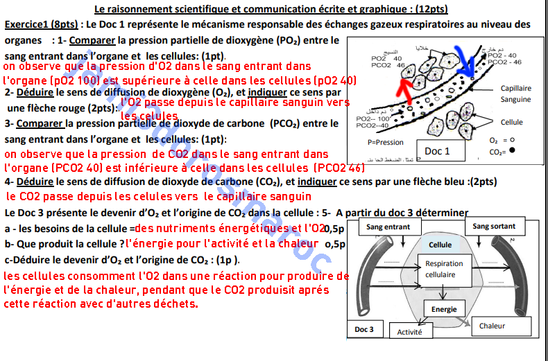 controle 2 semestre 1 svt 3ac