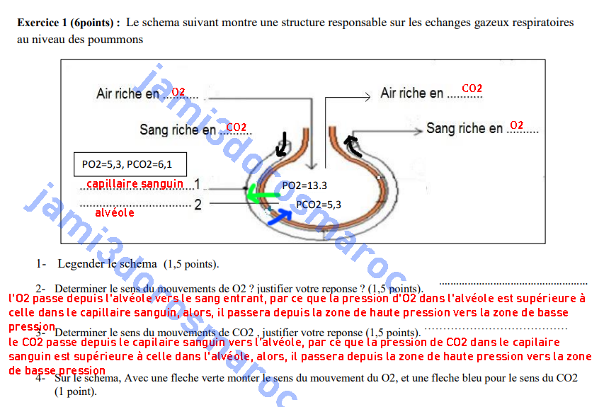 controle 2 semestre 1 svt 3ac