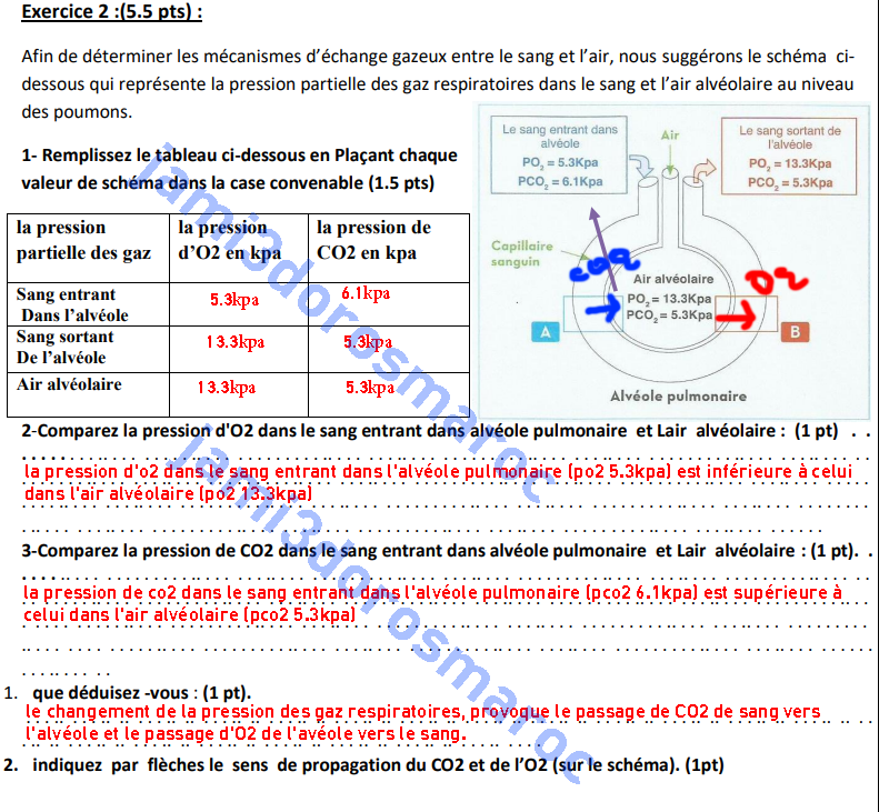 controle 2 semestre 1 svt 3ac
