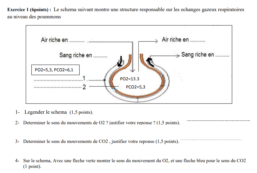 controle 2 semestre 1 svt 3ac