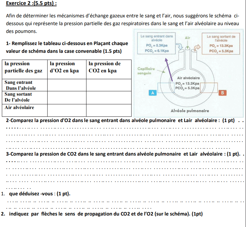 controle 2 semestre 1 svt 3ac