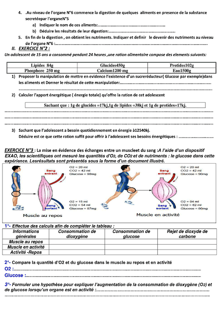 examen local svt 3ac avec correction