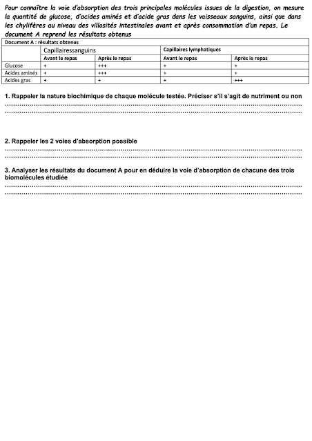 examen local svt 3ac avec correction