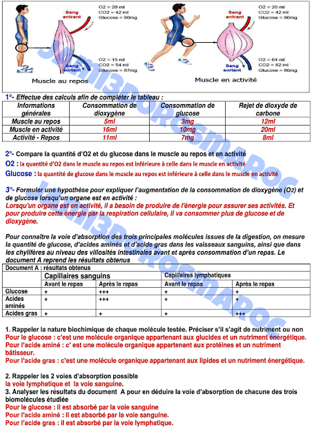 examen local svt 3ac avec correction