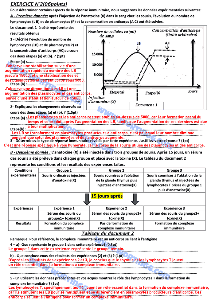 examen régional svt 3ac avec correction pdf