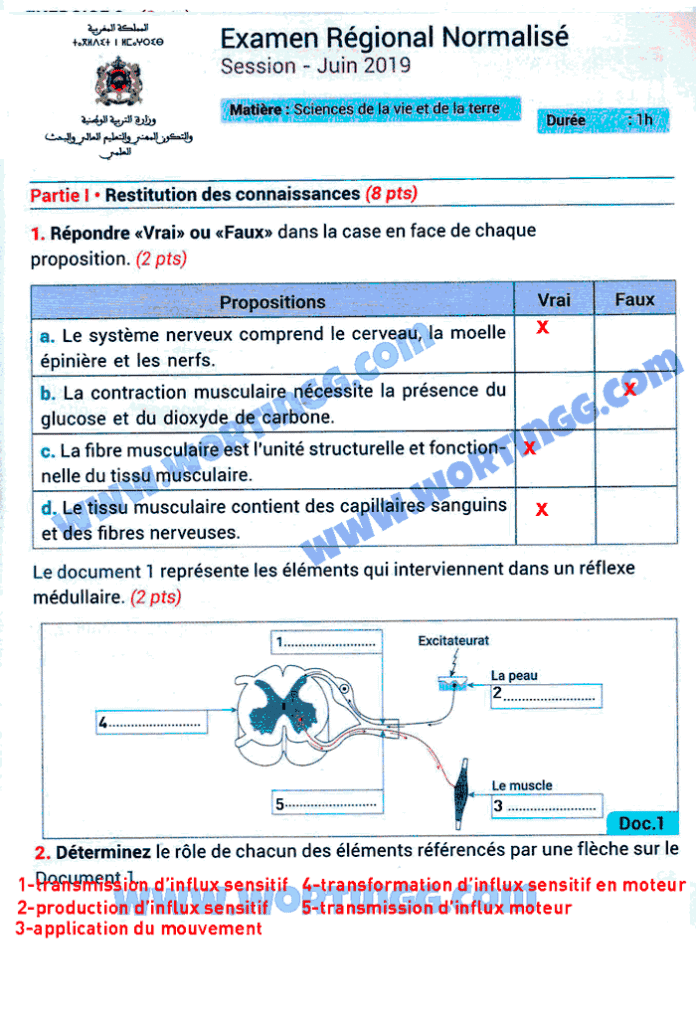 examen régional svt 3ac pdf corrigé