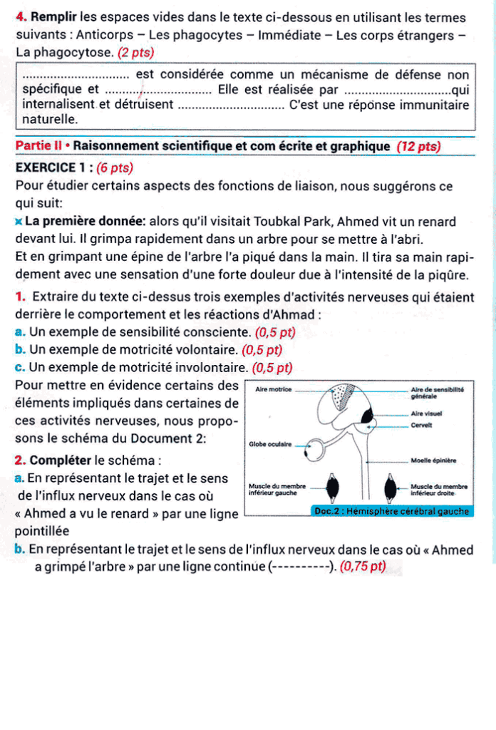 examen régional svt 3ac pdf corrigé