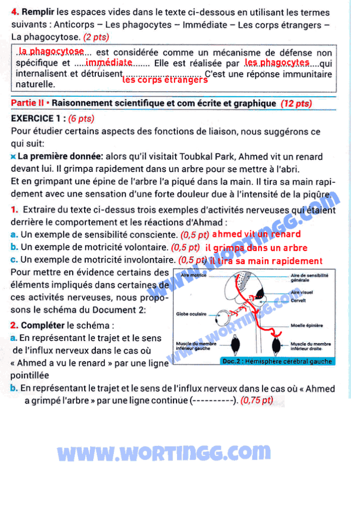 examen régional svt 3ac pdf corrigé