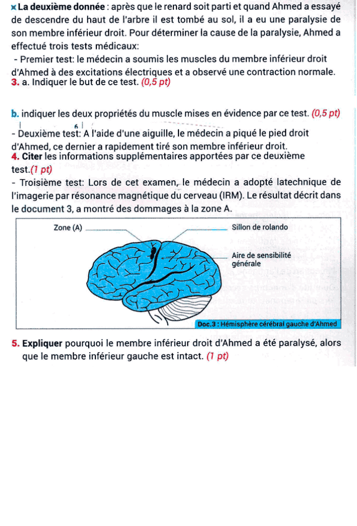 examen régional svt 3ac pdf corrigé