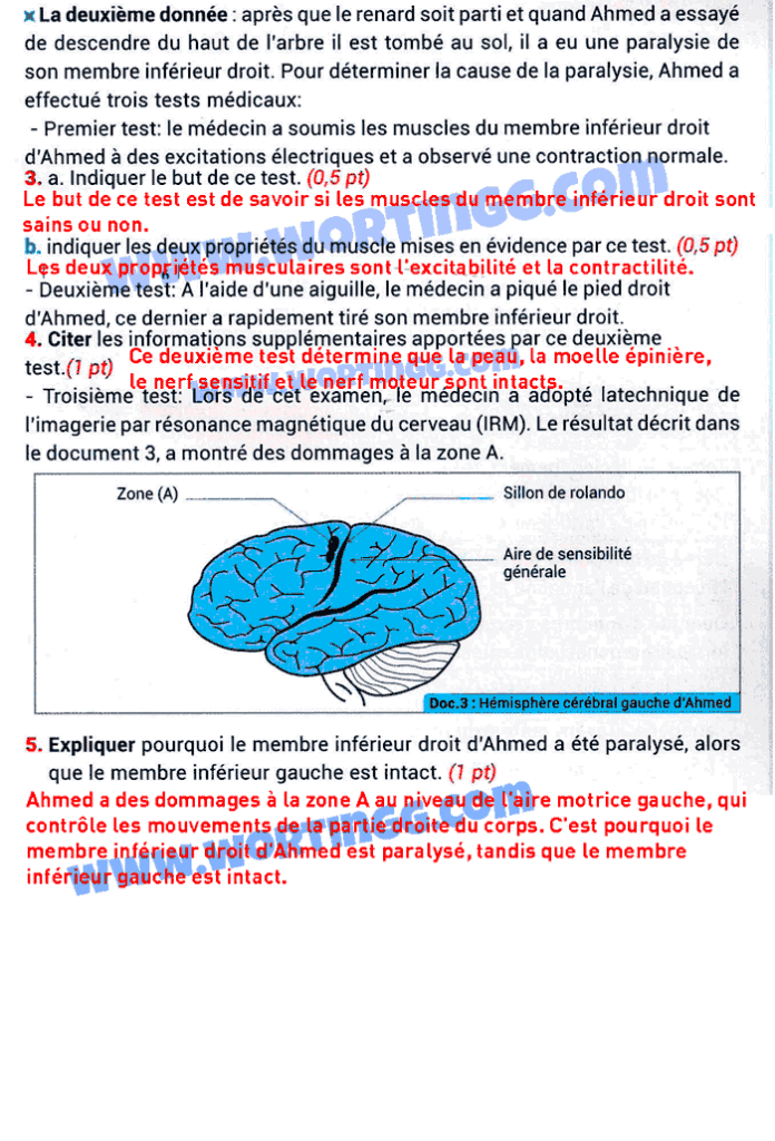 examen régional svt 3ac pdf corrigé