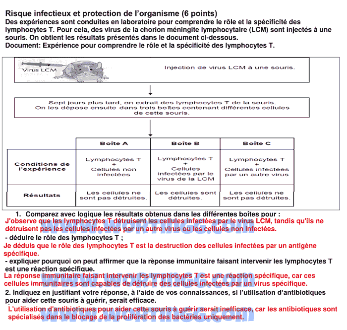 Exercices corrigés sur le système immunitaire 3ac