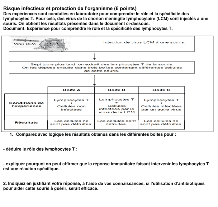 Exercices corrigés sur le système immunitaire 3ac